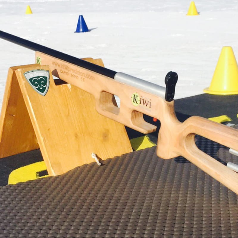 Biathlon Challenge