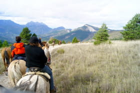 Je passe mes vacances d'été à poney en plein cœur de la montagne
