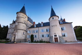 Chambre Pomme d'Amour - Château de Saint Alyre