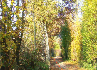 Sentier piétonnier Pierre Poivre