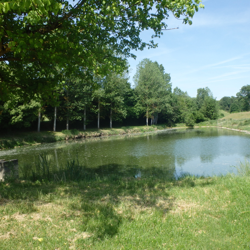 Pêche à l'étang de Refeuille