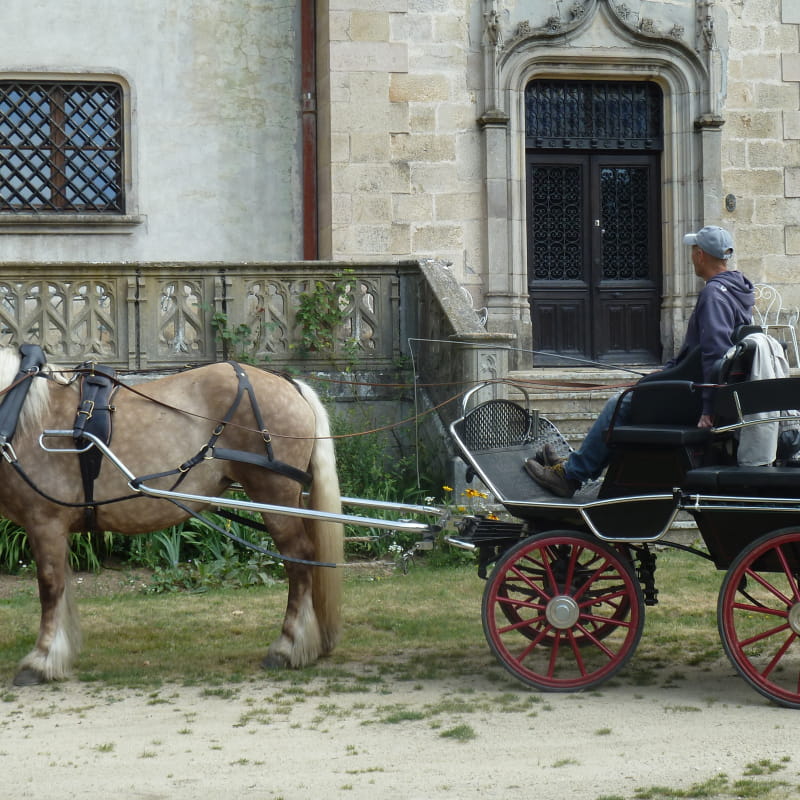 Balades en calèche avec Attel'Ardèche