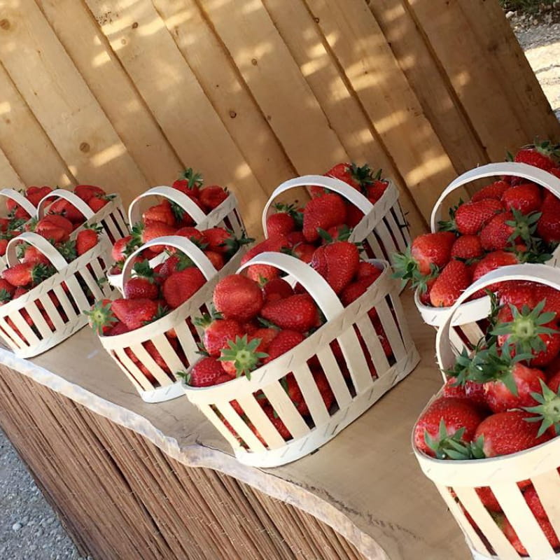 Les fraises d'Amélie