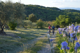 Sortie découverte Bois de Païolive - Ardèche Vélo