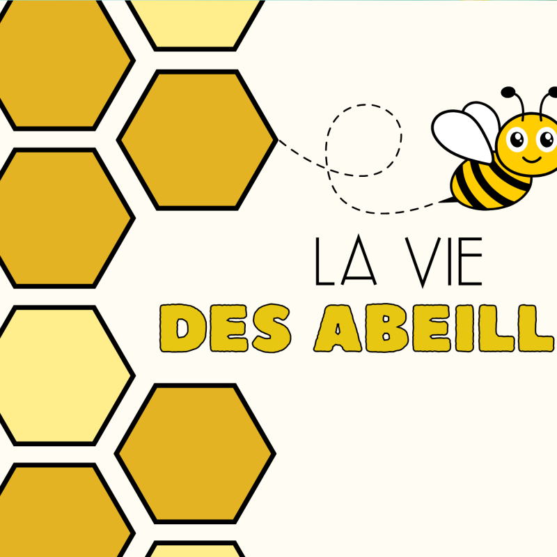 Animation autour des abeilles et du miel.