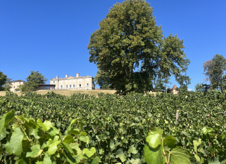 Domaine Bosse Platière - Château de Lachassagne