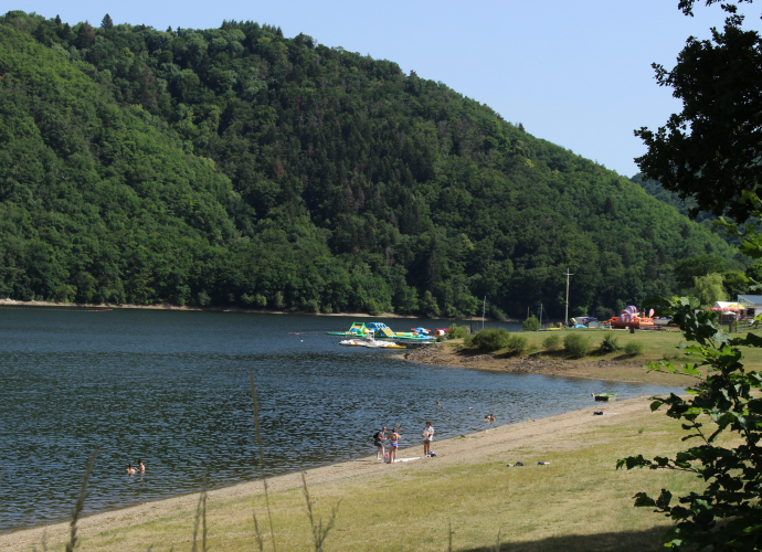 Swimming - Confolant