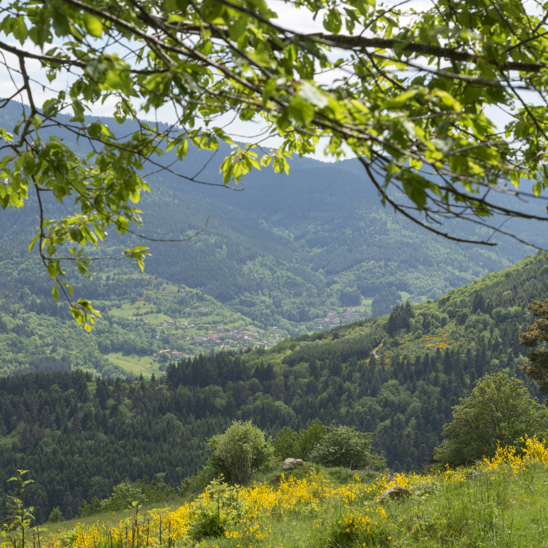 Randonnée : Le Suc de Chirol
