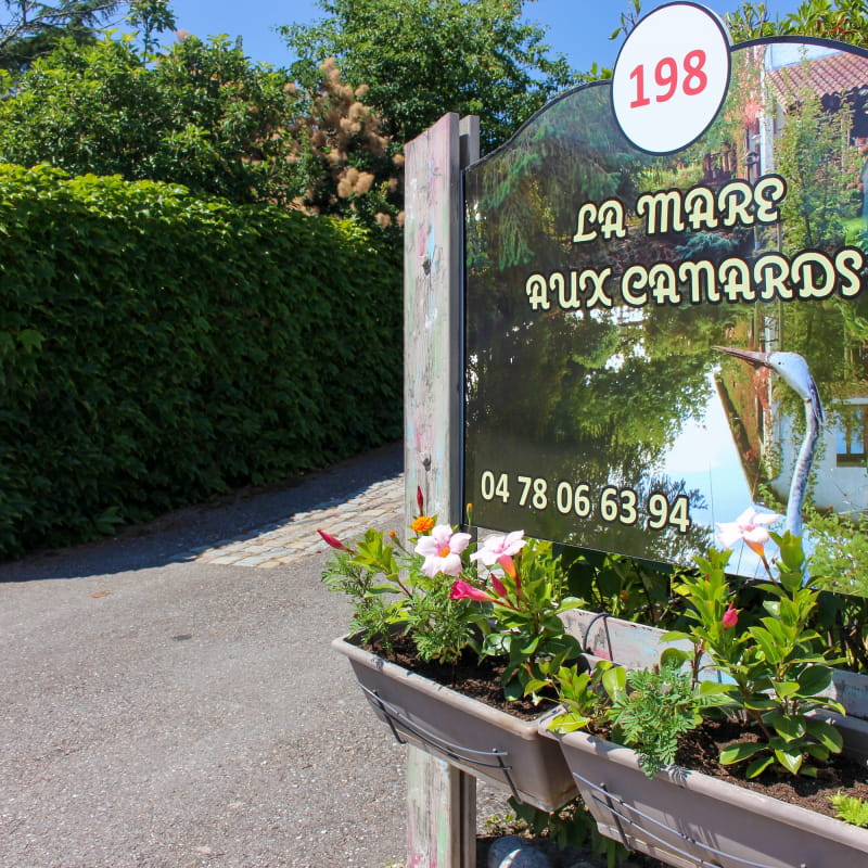 La Mare aux Canards