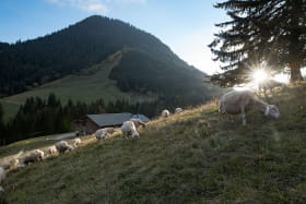 La ferme de l'Alpage du Muret