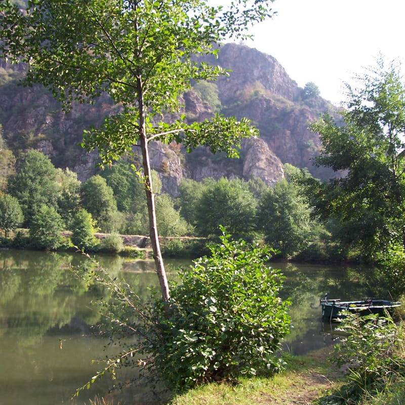 Site de pêche - Étang ''SPH'' Sioule Pêche Hébergement