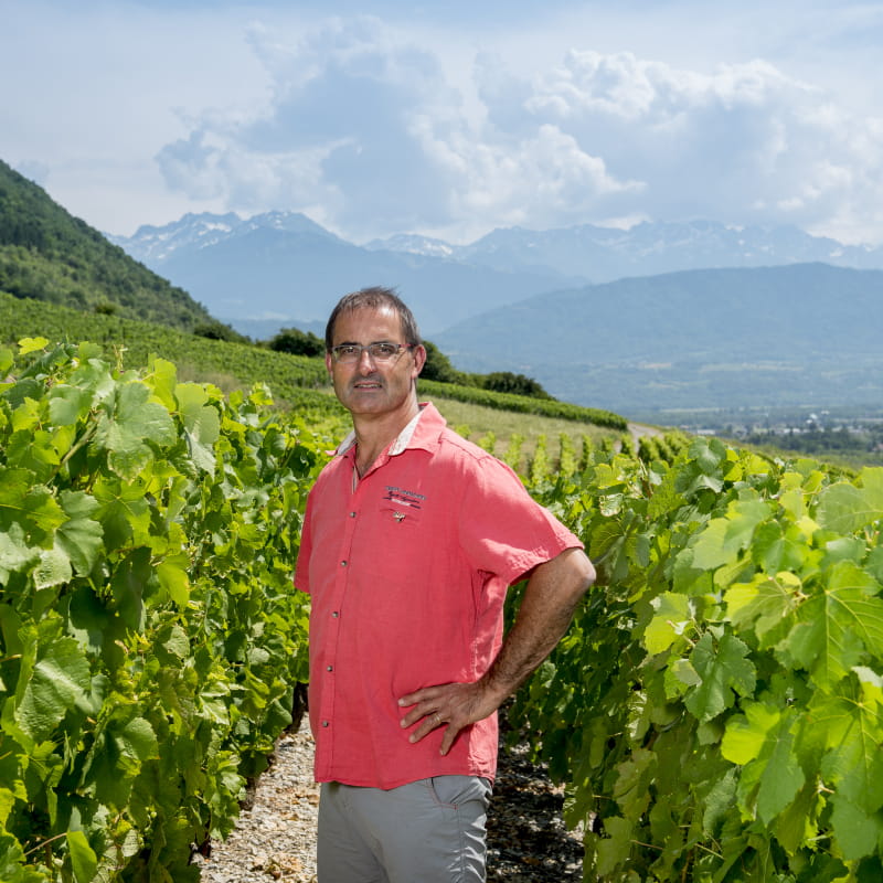 Domaine pascal Paget