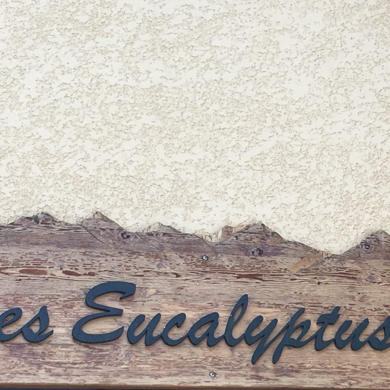 Les Eucalyptus n°1
