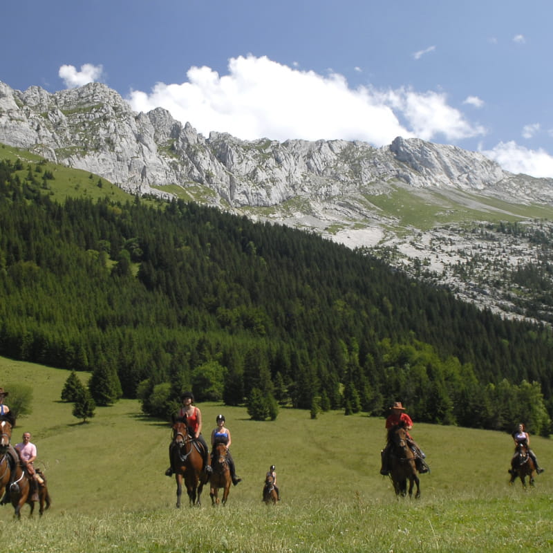 Le Vercors, le paradis à cheval