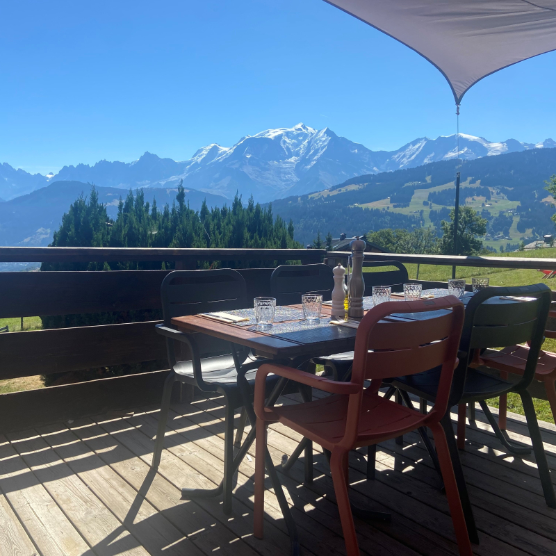 Terrasse vue Mont-Blanc