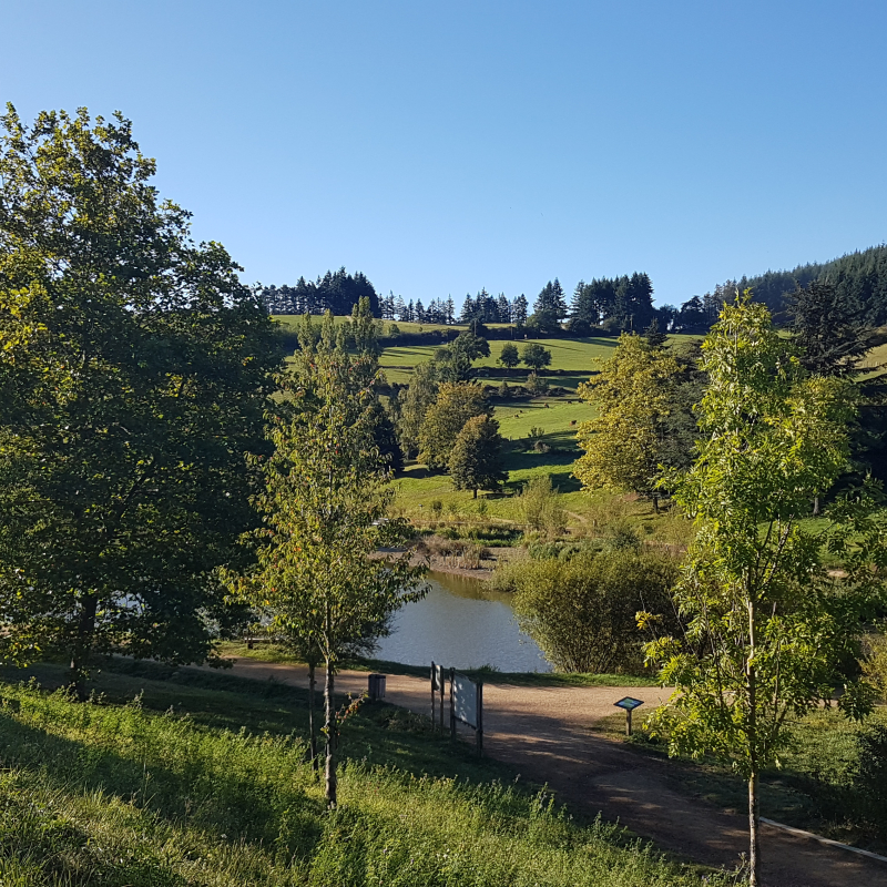 Lac du Ronzey