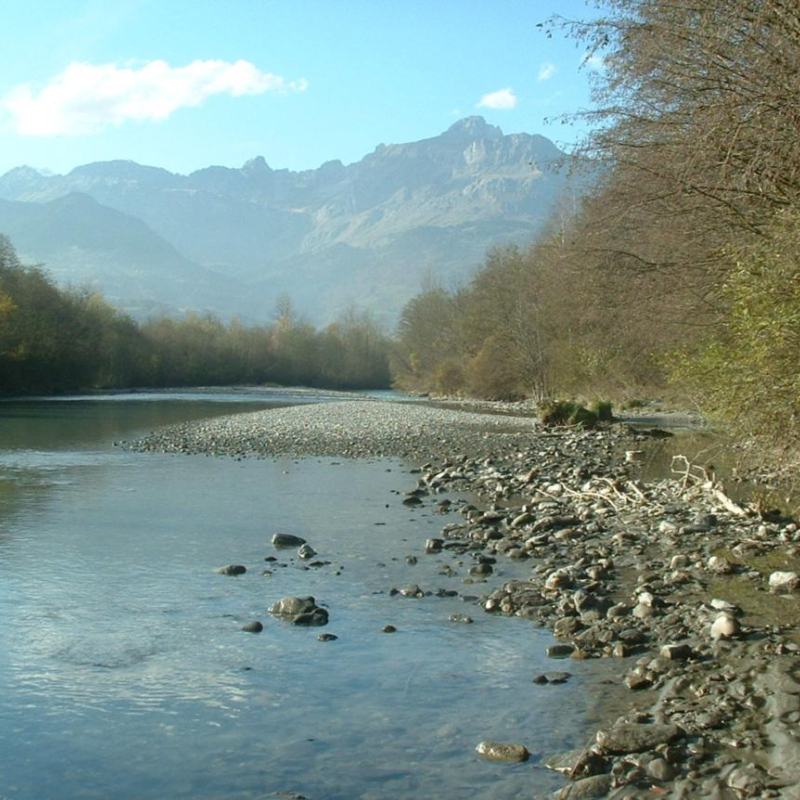 The river Arve