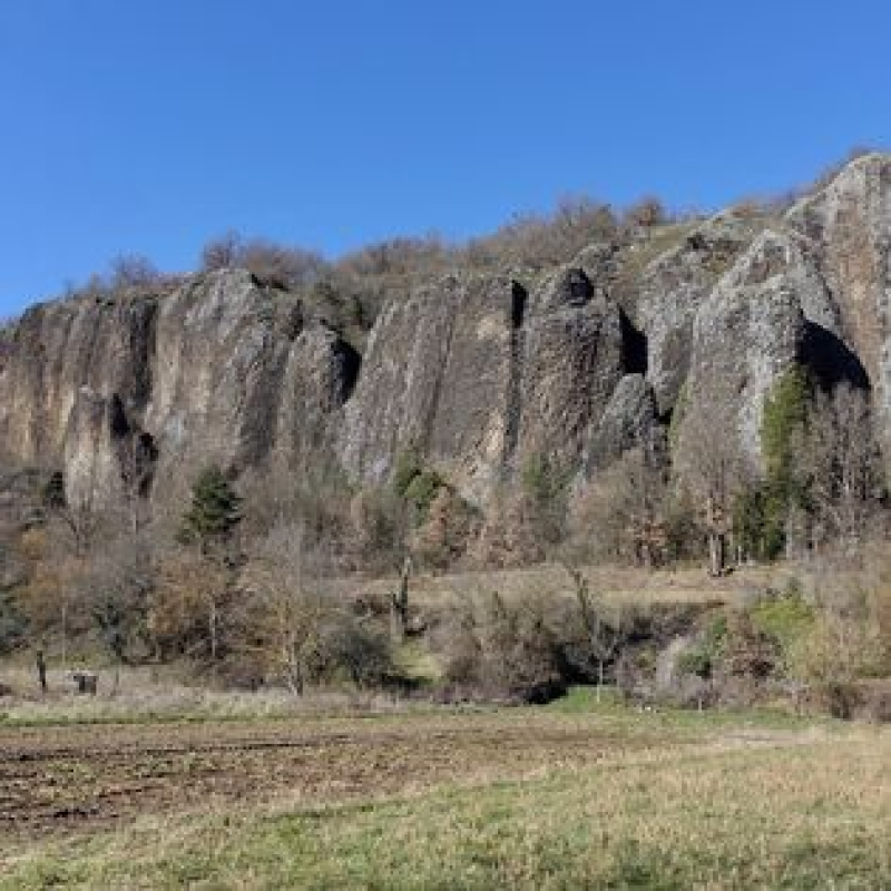 Balade de découverte des oiseaux et de la nature entre le Chambon et la falaise du Blot (commune de Cerzat).