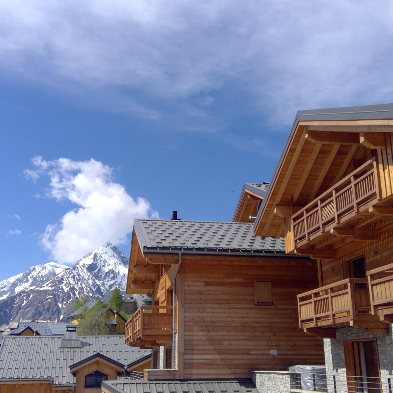 Chalet Grizzly - Chalet 12 personnes