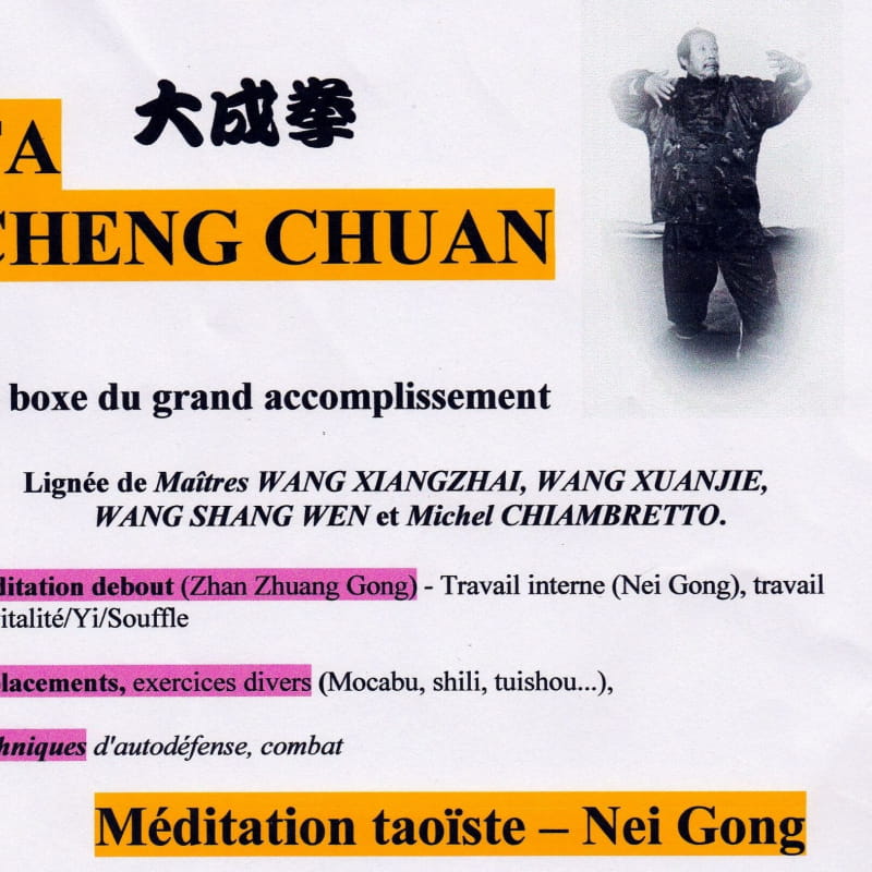 affiche Ta Cheng Chuan art martial