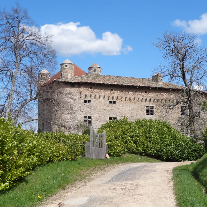 Château de Maisonseule