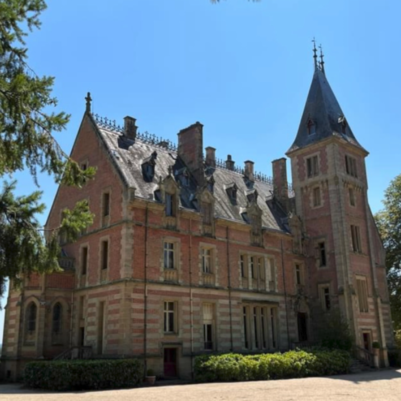 Château de la Chaussière - Vieure