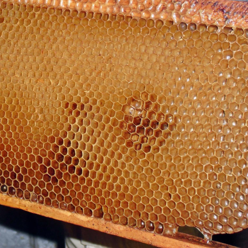 Producteur de miels - Branchet