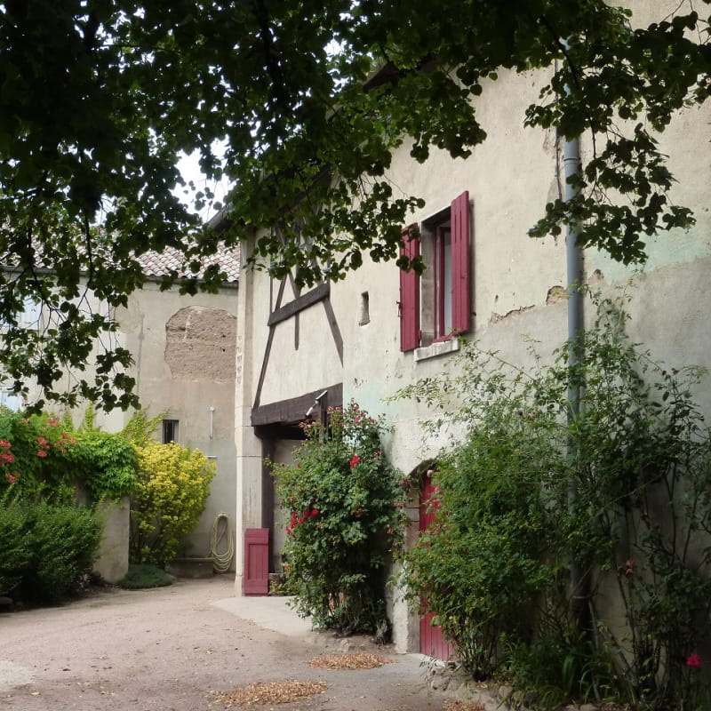 Gîte des Moriers - Domaine  Monrozier à Fleurie dans le Beaujolais - Rhône.