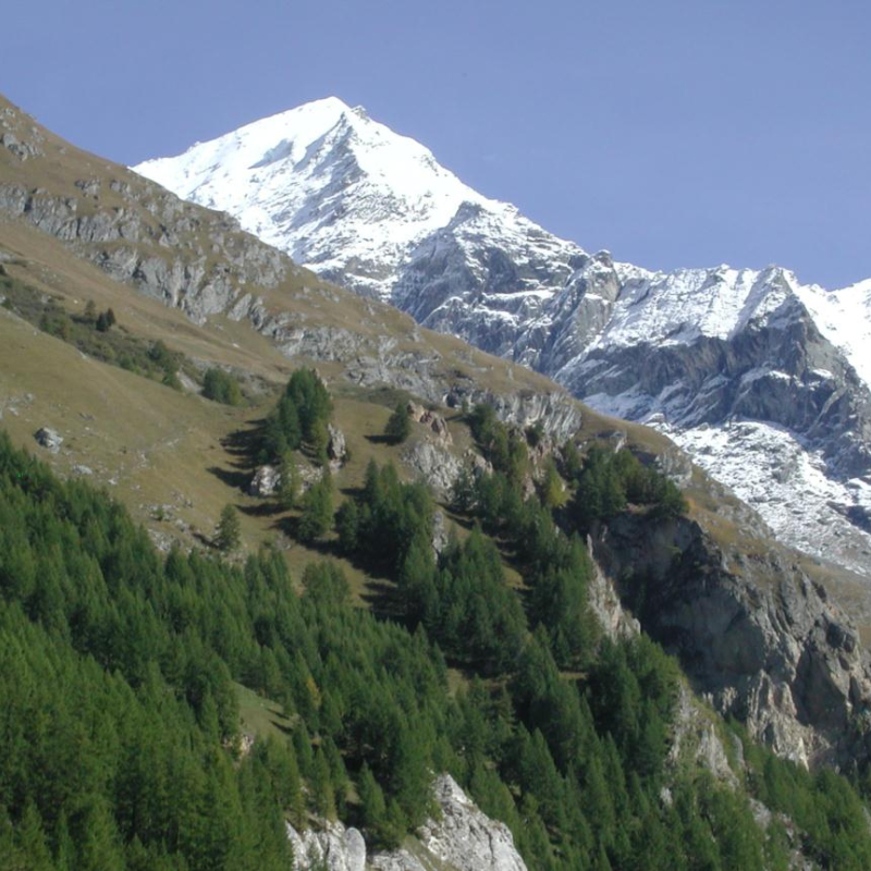 Le Mont-Pourri avec ses 3779 mètres