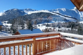 Vue du balcon sur le domaine alpin