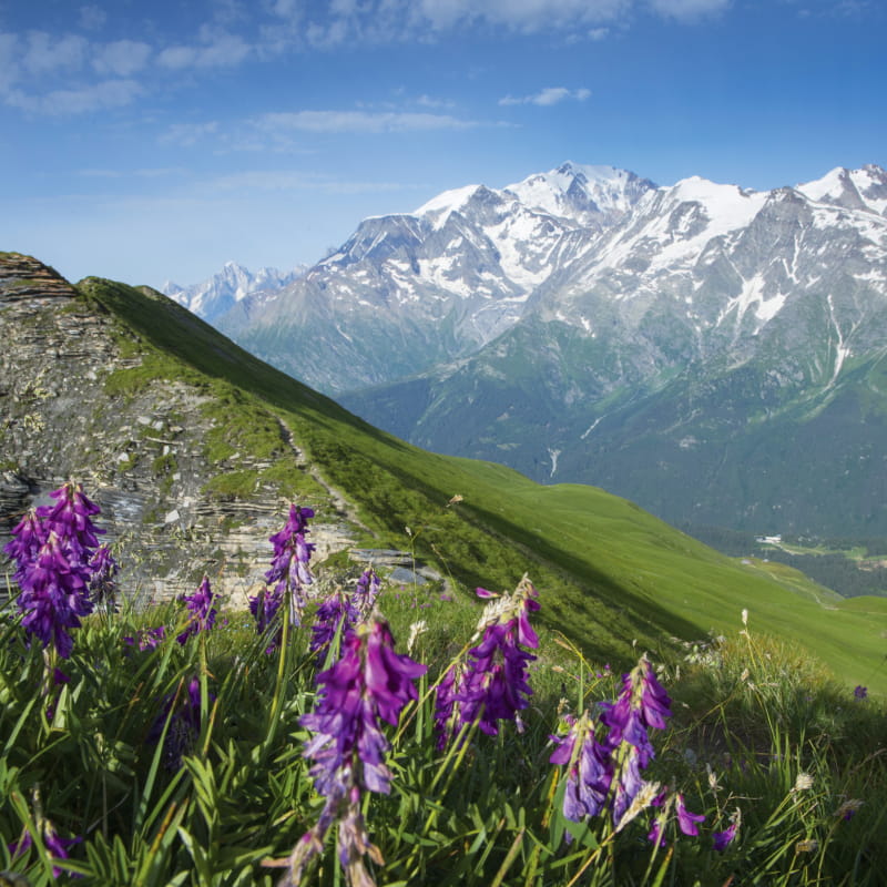 L'Aiguille Croche et le massif du Mont-Blanc