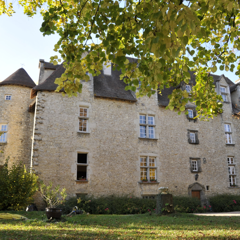 Des roses et des tours