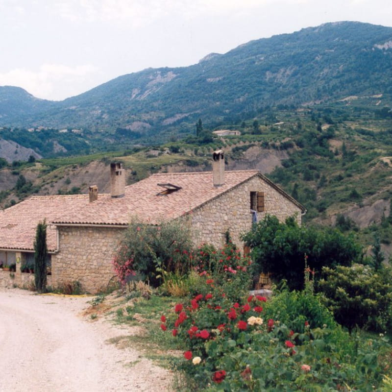 Le bramard