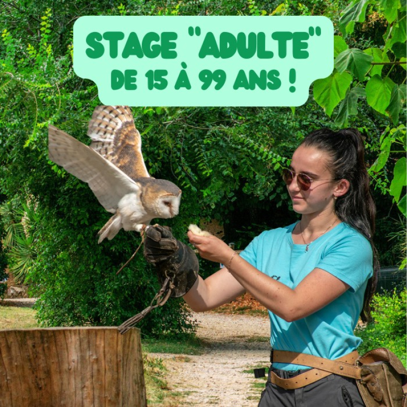 Stage animalier adulte