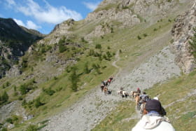 Randonée à cheval dans les Alpes : l'Italie Pièmontaise - 8 jours