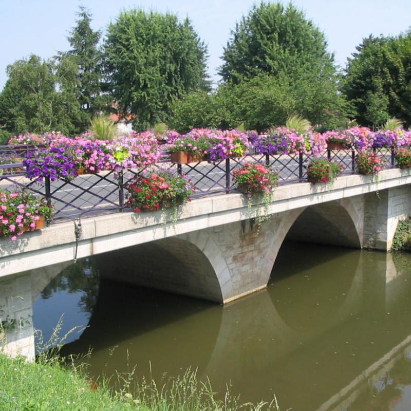 Flowered bridges