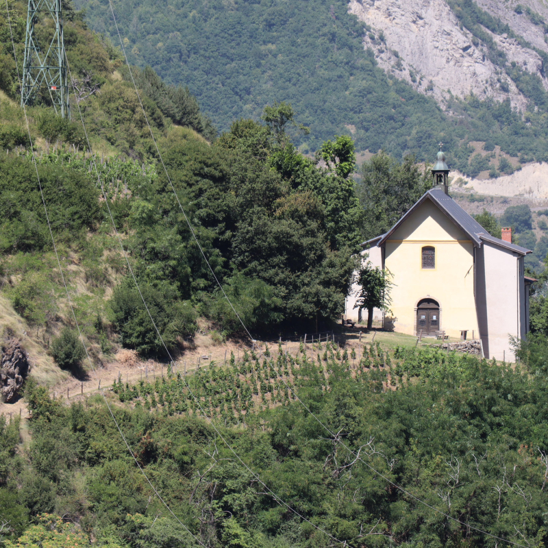 Between vineyards and the Bonne-Nouvelle chapel - JEP 2024