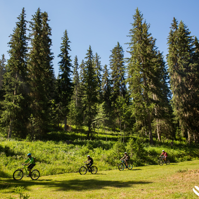 Guided Ebike tour in the altiport forest