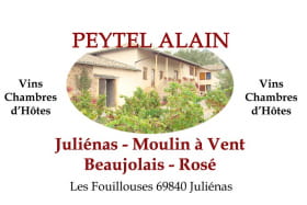 Domaine Alain PEYTEL - JULIENAS