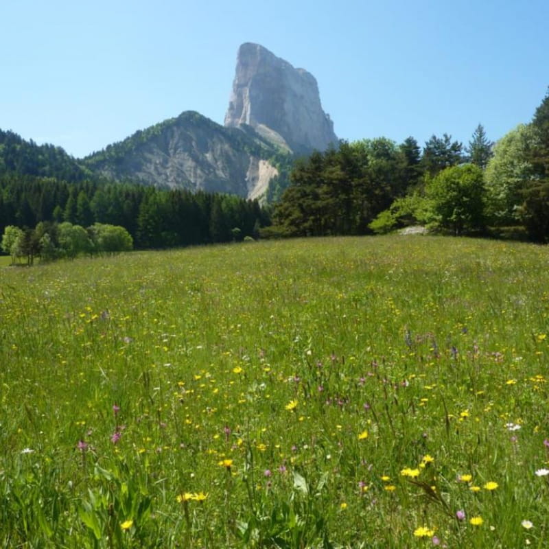 Mont Aiguille en été