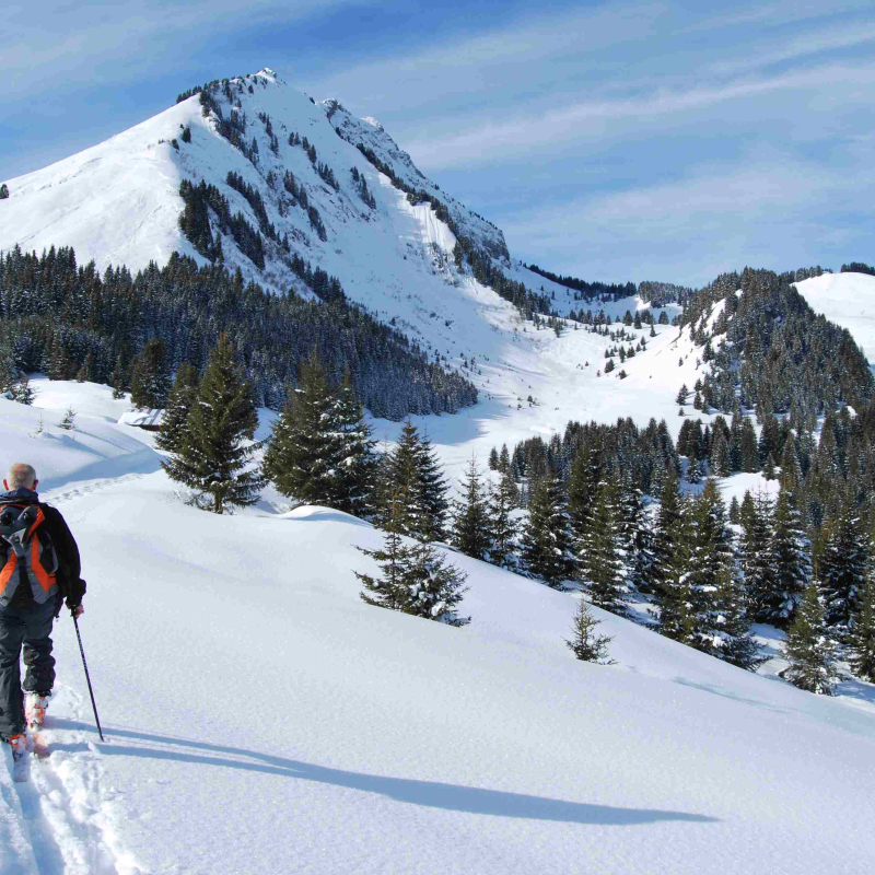 Initiation ski de randonnée