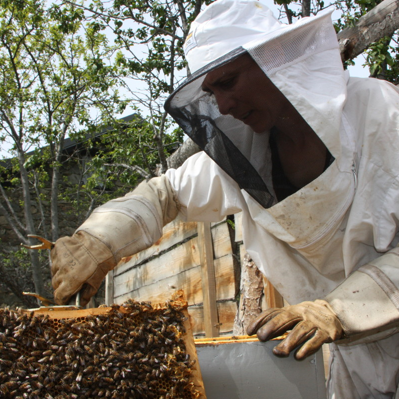L'apicultrice