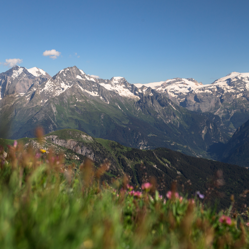 Mont Jovet A/R depuis Montangy la Thuile