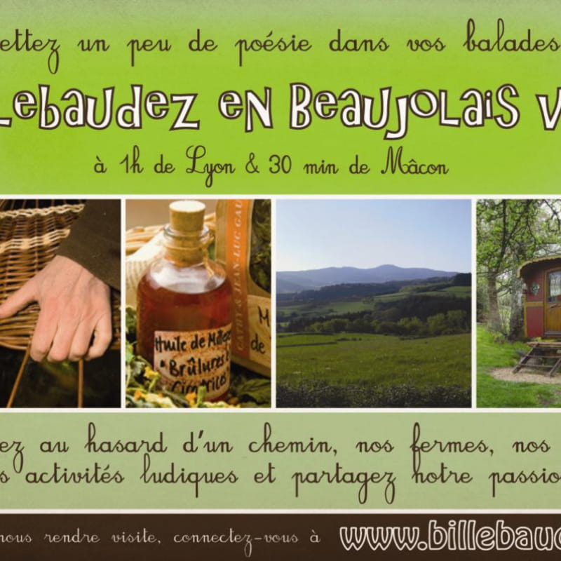 Billebaudez en Beaujolais Vert