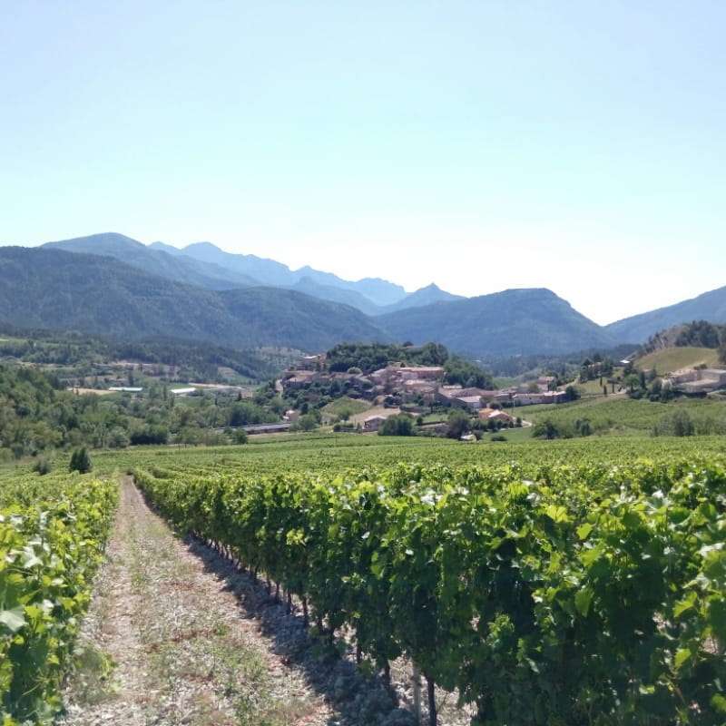 Domaine des Muttes