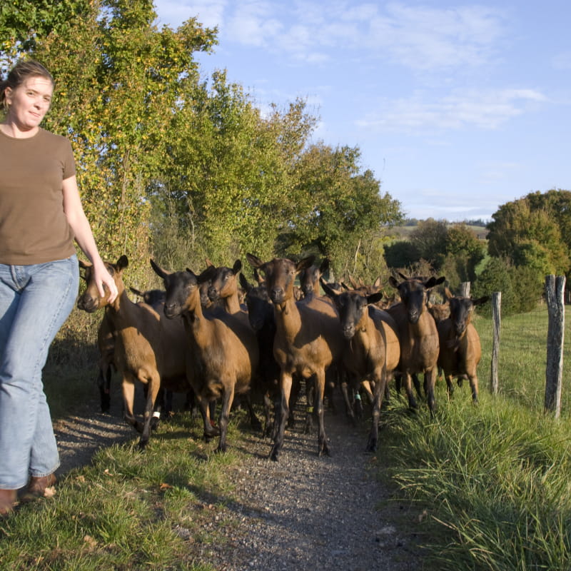 Corinne avec les chèvres