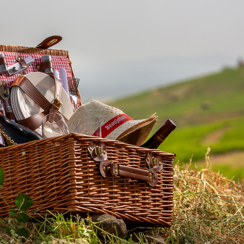 Picnic in the vineyard: Conviviality option