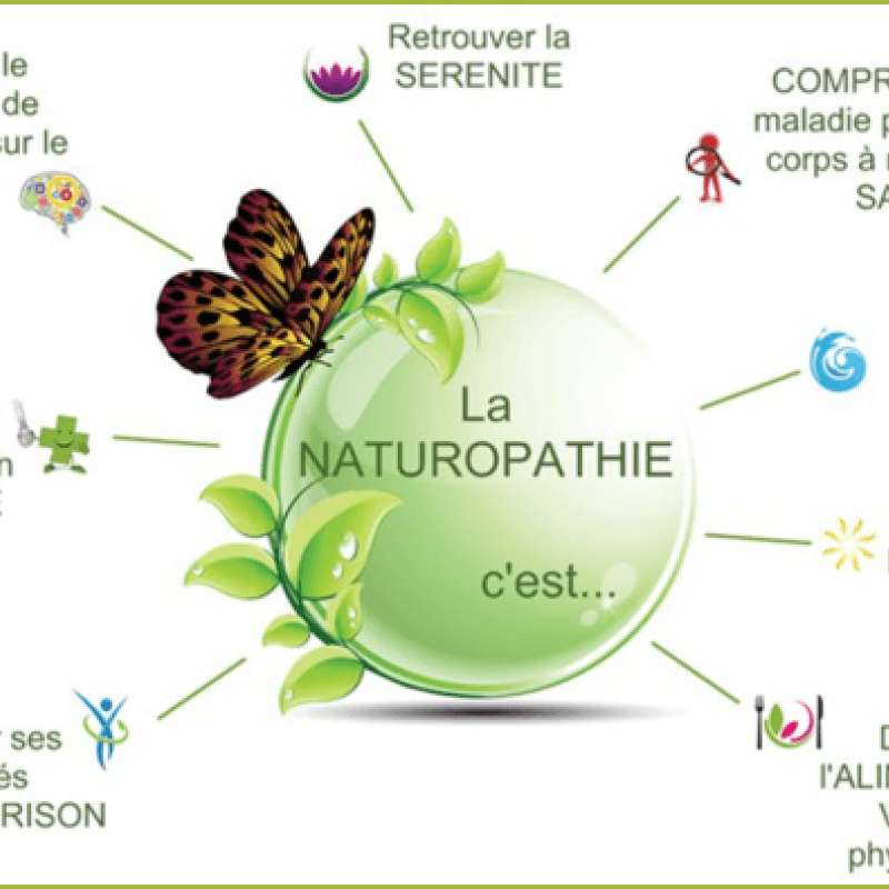 Naturopathe Iridologue