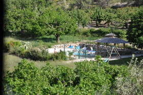 la piscine au milieu des vergers et pré entourant le gite