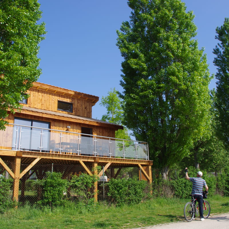 Kanopée cottage